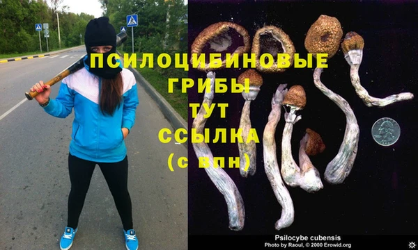 гашиш Арсеньев