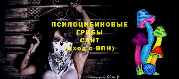 МДПВ Армянск